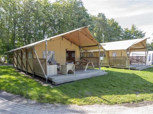 Glampingtält - 6 personer -  - 5944EX - Arcen
