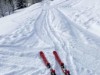 Bild 36 - Ude