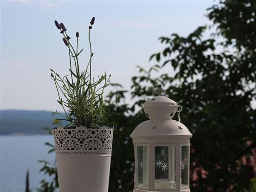 Ferielejlighed - 5 personer -  - Crikvenica/Dramalj - 51265