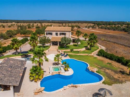 Holiday home - 8 persons -  - Diseminado Poligono - Can 66 Palmeras, Santanyi - 07690 - Santanyi