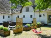 Bild 23
