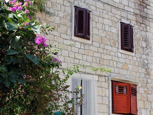 Ferieleilighet - 3 personer -  - Fra Jerolima Mihaica - 21412 - Pucišca