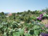 Image 27