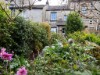 Image 20 - Outside