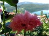 Bilde 4