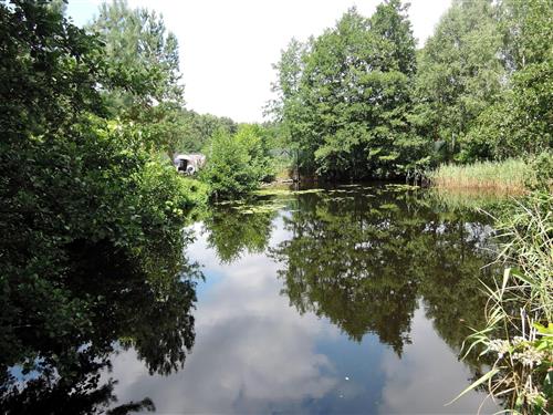 Ferielejlighed - 4 personer -  - 72514 - Kolczewo