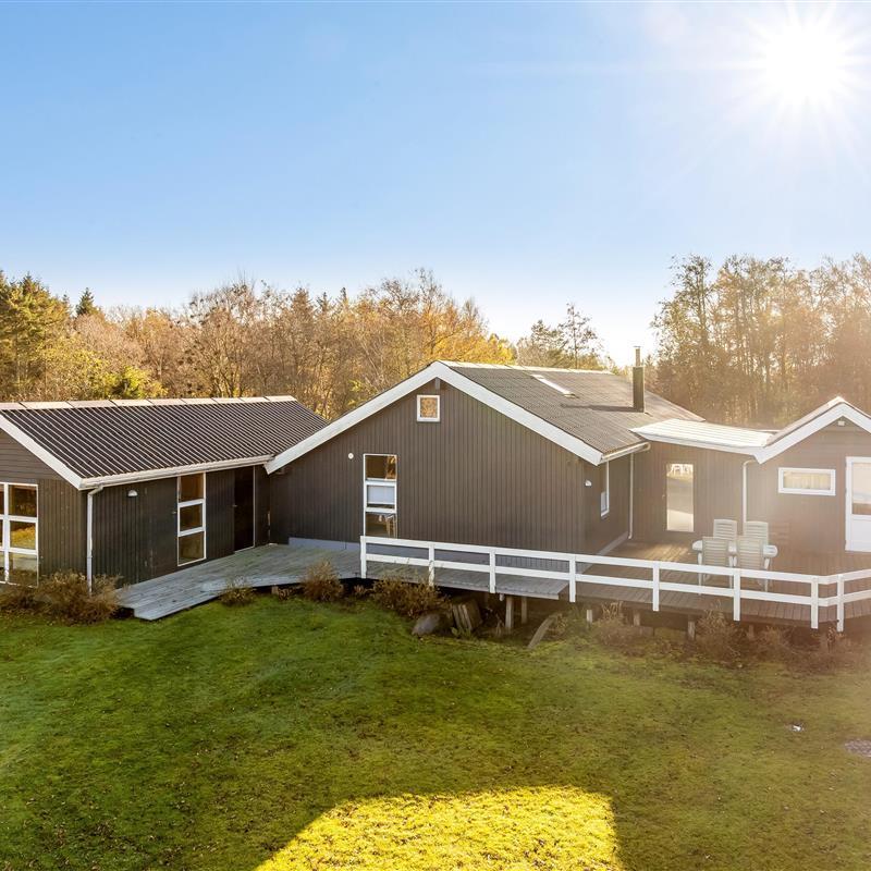 Ferienhaus - 6 Personen -  - Følvigvej - Salling - 7870 - Roslev