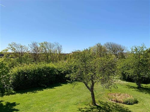 Ferielejlighed - 3 personer -  - Drift - 25826 - St. Peter-Ording