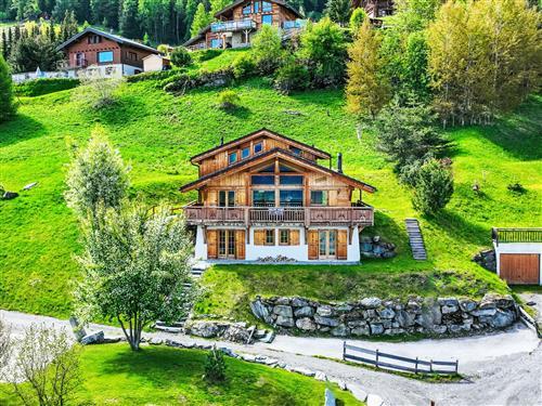 Feriehus - 12 personer -  - Nendaz - 1997