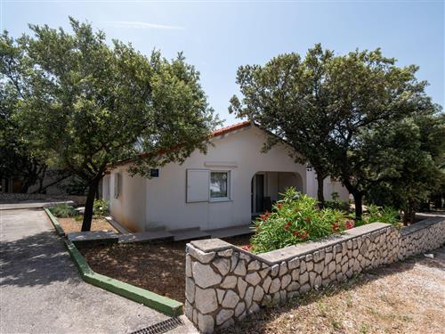 Ferielejlighed - 4 personer -  - Blage Zadra - 23251 - Mandre