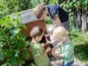 Bild 24