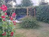 Bild 17