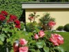 Bild 10