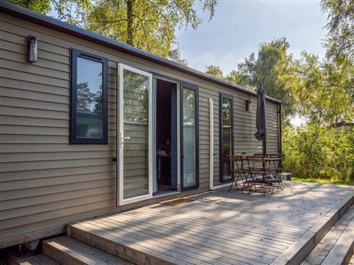 Holiday home - 6 persons -  - Kinrooi - 3640