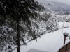 Bild 17