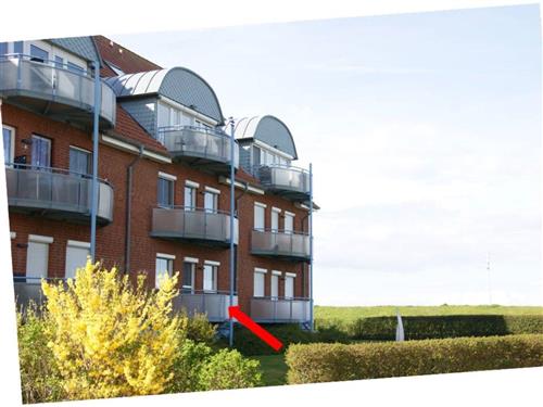 Ferienwohnung - 3 Personen -  - Deichweg - 24217 - Schönberg-Kalifornien