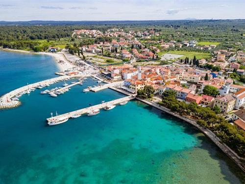 Ferielejlighed - 2 personer -  - Put Svetog Elizeja - 52212 - Fazana