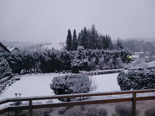 Ferielejlighed - 4 personer -  - Glockenbergweg - 38707 - Altenau