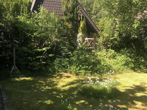 Holiday Home/Apartment - 4 persons -  - Freilinger Bruch - 53945 - Blankenheim