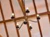Bild 25 - Aussen