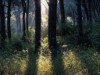 Image 27 - Outside