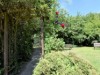 Billede 10