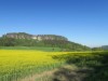 Bild 17