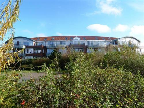 Ferielejlighed - 2 personer -  - Kormoranweg - 27632 - Wurster Nordseeküste