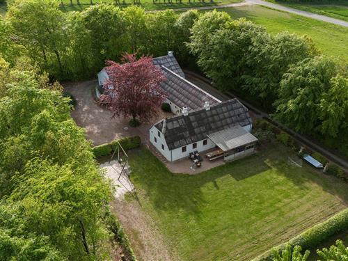 Sommerhus - 16 personer -  - Fasterlundvej - 6900 - Skjern