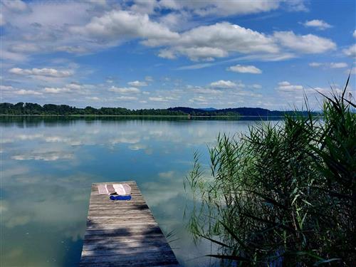 Holiday apartment - 4 persons -  - Buchwinkel - 83329 - Waging Am See