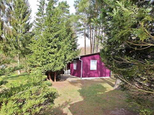 Holiday Home/Apartment - 4 persons -  - Seestraße - Rheinsberg Ot Warenthin - 16831 - Rheinsberg Ot Warenthi