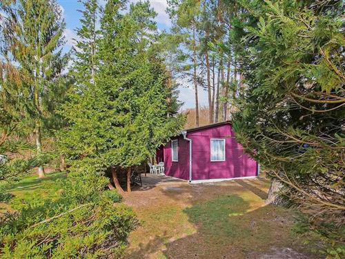 Feriehus - 4 personer -  - Seestraße - Rheinsberg Ot Warenthin - 16831 - Rheinsberg Ot Warenthi