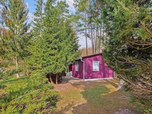 Feriehus - 4 personer -  - Seestraße - Rheinsberg Ot Warenthin - 16831 - Rheinsberg Ot Warenthi