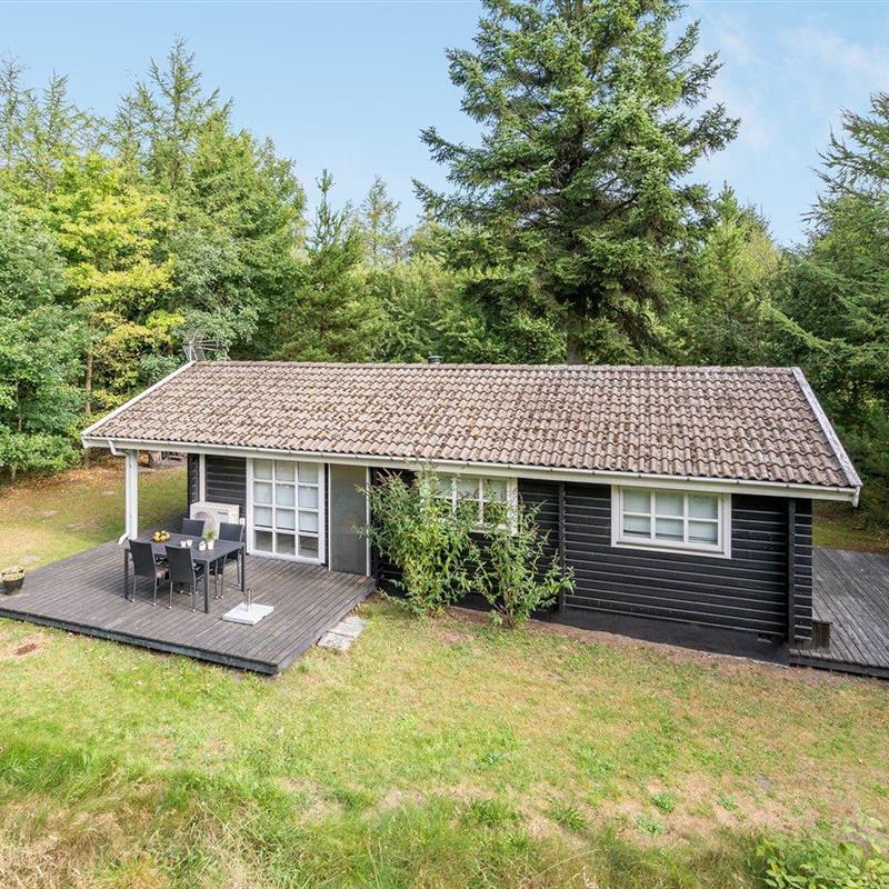 Sommerhus - 4 personer -  - Pionerskoven - Arrild - 6520 - Toftlund