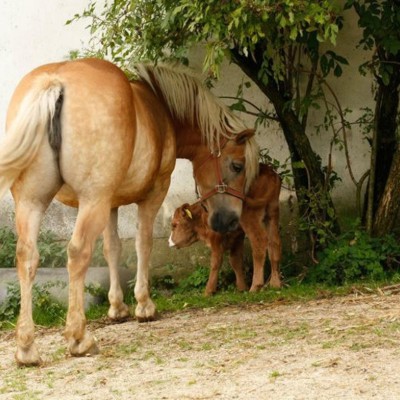 Billede 3