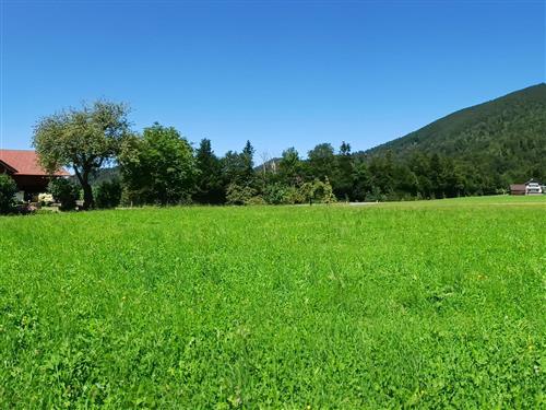 Bondegård - 6 personer -  - Lidaunstrasse - 5324 - Faistenau