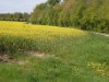 Image 16