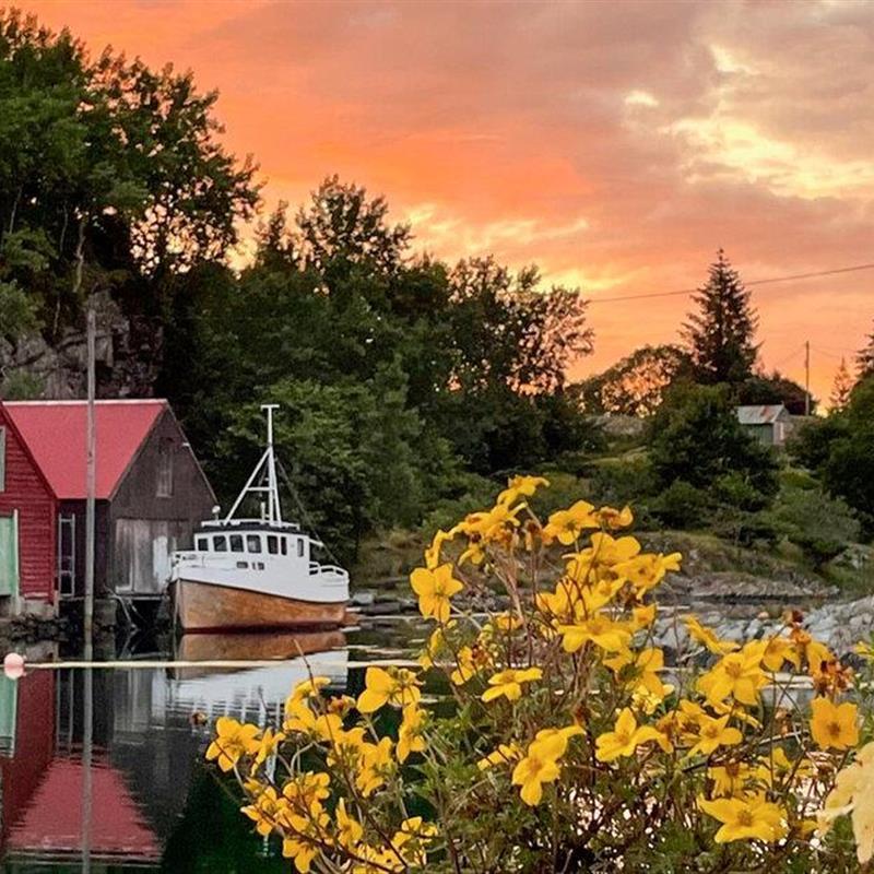 Sommerhus - 4 personer -  - Skåravegen - Austevoll, Vestland - 5384 - Torangsvåg