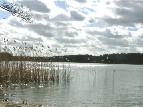 Ferieleilighet - 6 personer -  - 17279 - Lychen, Deutschland