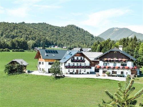 Bondegård - 4 personer -  - Seestraße - 5324 - Faistenau