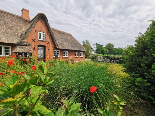 Ferienwohnung - 3 Personen -  - Litjmuasem - 25980 - Sylt / Morsum