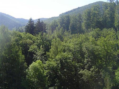 Ferieleilighet - 3 personer -  - Kurhausstraße - 38667 - Bad Harzburg