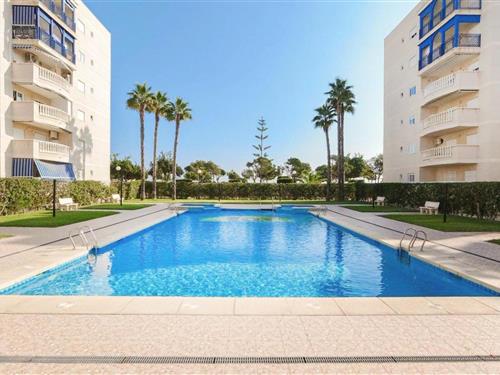 Ferieleilighet - 4 personer -  - Avenida Costa Blanca - 03195 - Los Arenales Del Sol