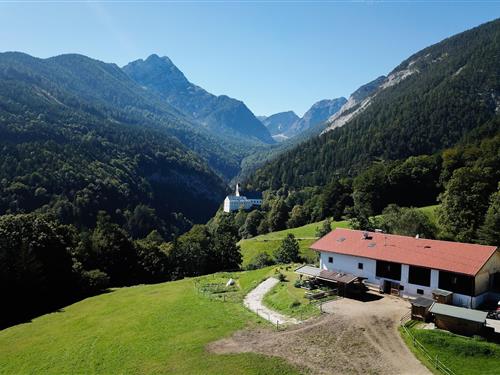 Holiday apartment - 4 persons -  - 6135 - Stans