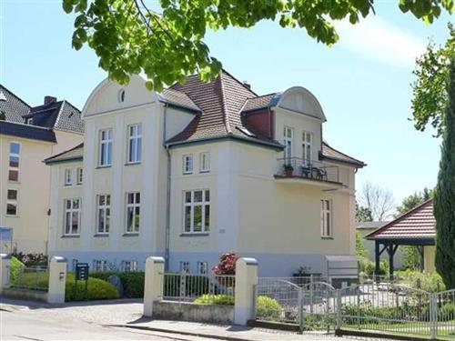Ferielejlighed - 8 personer -  - Schwedenstraße - 17033 - Neubrandenburg