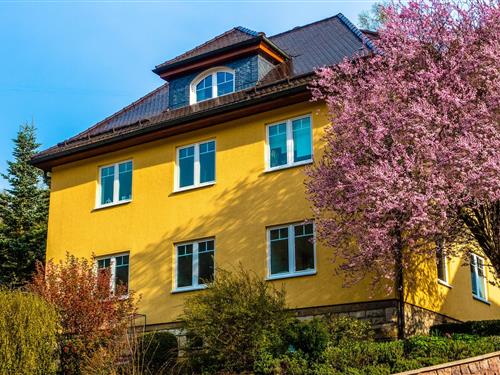 Ferienhaus - 4 Personen -  - 98667 - Schönbrunn