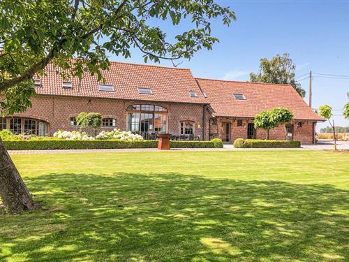 Sommerhus - 27 personer -  - Landweg - 8700 - Tielt