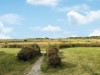 Billede 20