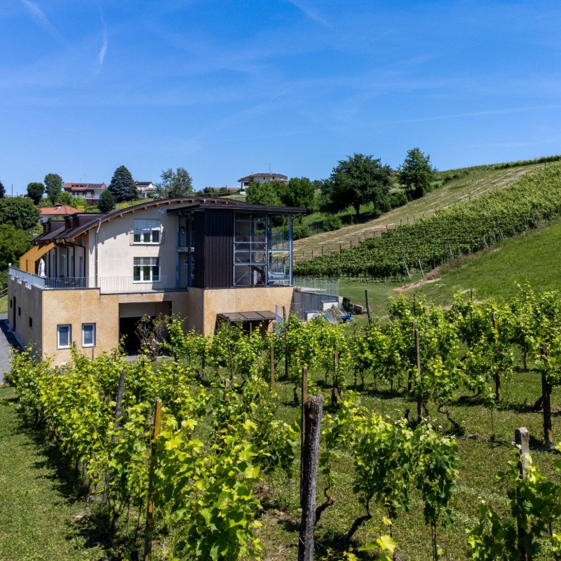 Sommerhus - 10 personer -  - Vigliano D'asti - 14040