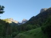 Bilde 5